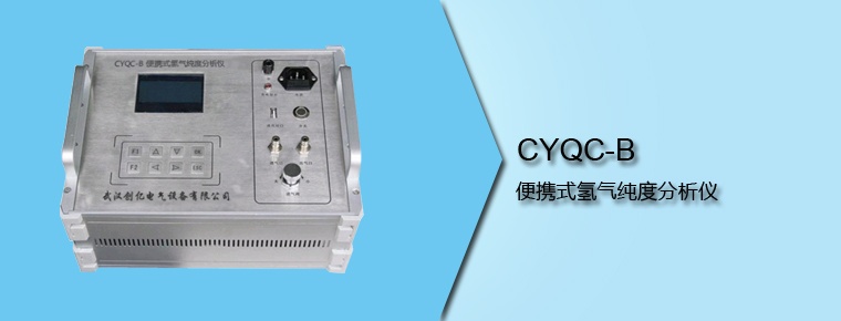 CYQC-B 便携式氢气纯度分析仪