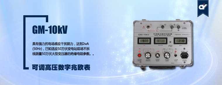 GM-10kV 可调高压数字兆欧表