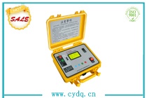 CY2000C 绝缘电阻测试仪