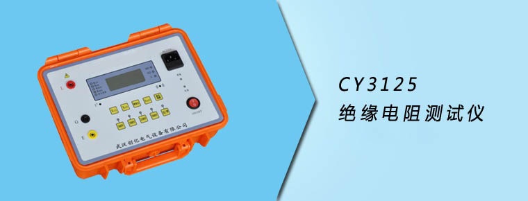 CY3125 绝缘电阻测试仪